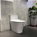 Bồn cầu một khối American Standard WP-1880 hiện đại