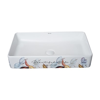 Chậu rửa Lavabo Demuhler 8460-E73