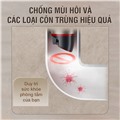 chống mùi và côn trùng