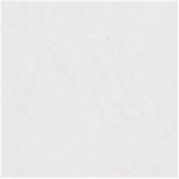 Gạch ốp lát Palermo KP88C73A, white body, Glossy, 80x80