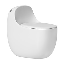 Bồn cầu đặt sàn DeMuhler ML1079