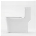 Bồn cầu đặt sàn DeMuhler ML366314 cao cấp
