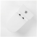 Bồn cầu đặt sàn DeMuhler ML366314 chính hãng