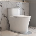 Bồn cầu đặt sàn DeMuhler ML366312 bền đẹp