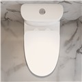 Bồn cầu đặt sàn DeMuhler ML366312 chính hãng