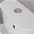 Bồn cầu đặt sàn DeMuhler ML366312 sang trọng