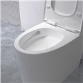 Bồn cầu một khối DeMuhler ML366310 chính hãng