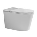 Bồn cầu thông minh Intelligent Toilet NEXA ML368007
