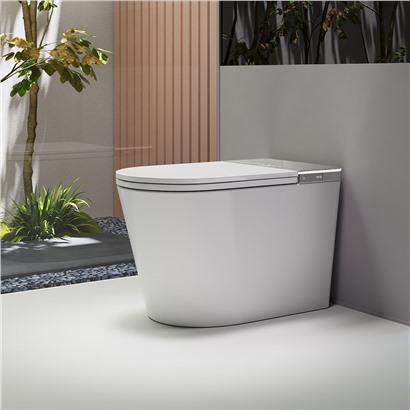 Avata Bồn cầu thông minh DeMuhler ML368007