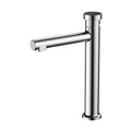 Vòi lavabo DeMuhler MLA613210C