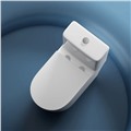 Bồn cầu một khối Morris ML388110 cao cấp