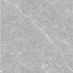 Gạch ốp lát Palermo W61209, Soft Matt , 60x120