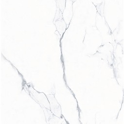 Gạch ốp lát Palermo Y12661, Soft Matt , 60x120