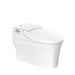 Bồn cầu điện tử American Standard WP-5017 Aerozen G2 Bồn cầu điện tử American Standard WP-5017 Aerozen G2