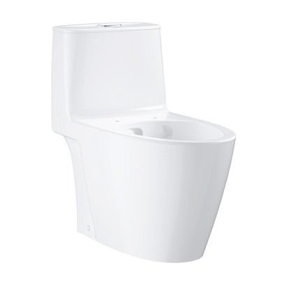 Bồn cầu một khối Grohe Bau 39990000