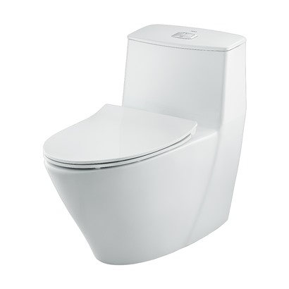 Avata Bồn cầu đặt sàn 1 khối INAX  AC-919VRN/BW1 nắp CF-606VS