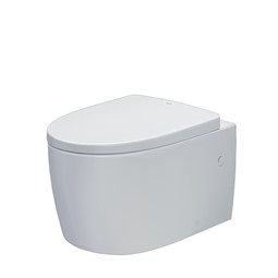 Bồn cầu treo tường Inax  AC-952VN/BW1 Bồn cầu treo tường Inax  AC-952VN/BW1