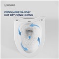 Bồn cầu đặt sàn Morris MR388831 chính hãng