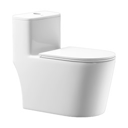 Bồn cầu một khối Morris MR388103