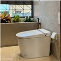 Bồn cầu thông minh DeMuhler ML-LP-R18C bền đẹp