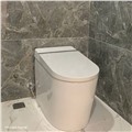 Bồn cầu thông minh DeMuhler ML-LP-R18C chính hãng