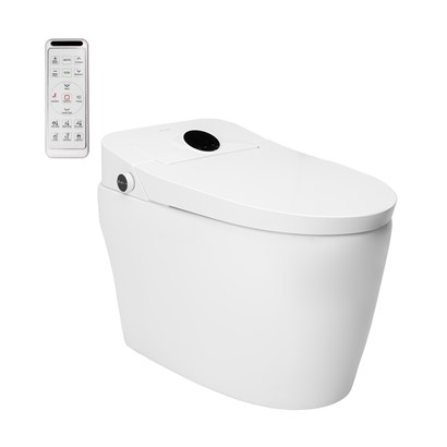 Bồn cầu thông minh DeMuhler ML-501