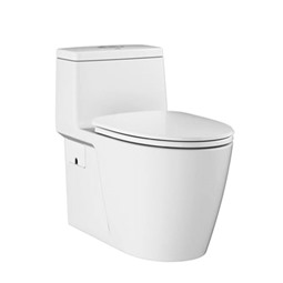 Bồn cầu đặt sàn 1 khối GROHE 115609 Bồn cầu đặt sàn 1 khối GROHE 115609