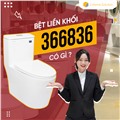 Bồn cầu 1 khối DeMuhler ML366836