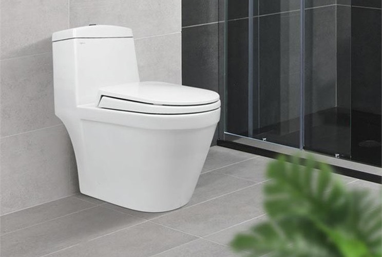 Bồn Cầu 1 Khối Viglacera: Lựa Chọn Tối Ưu Cho Gia Đình Việt Bồn Cầu 1 Khối Viglacera: Lựa Chọn Tối Ưu Cho Gia Đình Việt