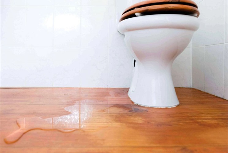 Cách Sửa Bồn Cầu Bị Rỉ Nước: Nguyên Nhân Và Giải Pháp Hiệu Quả Cách Sửa Bồn Cầu Bị Rỉ Nước: Nguyên Nhân Và Giải Pháp Hiệu Quả