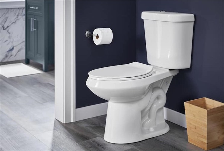 Có nên mua bồn cầu giá rẻ dưới 2 triệu không? Có nên mua bồn cầu giá rẻ dưới 2 triệu không?