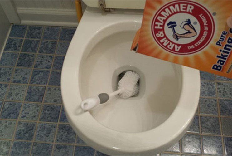 Mẹo Xử Lý Triệt Để Tình Trạng Bồn Cầu Thoát Nước Chậm Mẹo Xử Lý Triệt Để Tình Trạng Bồn Cầu Thoát Nước Chậm