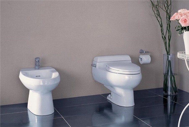 Có nên mua bồn tiểu nữ hay không? Có nên mua bồn tiểu nữ hay không?