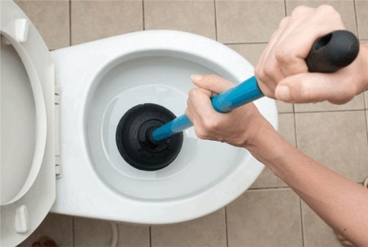 Cây thông bồn cầu: Giải pháp nhanh chóng cho nhiều tình huống tắc nghẽn Cây thông bồn cầu: Giải pháp nhanh chóng cho nhiều tình huống tắc nghẽn