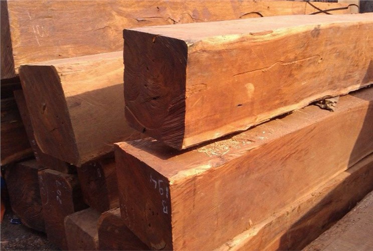 Gỗ căm xe: Ưu điểm, nhược điểm và những điều cần biết Gỗ căm xe: Ưu điểm, nhược điểm và những điều cần biết