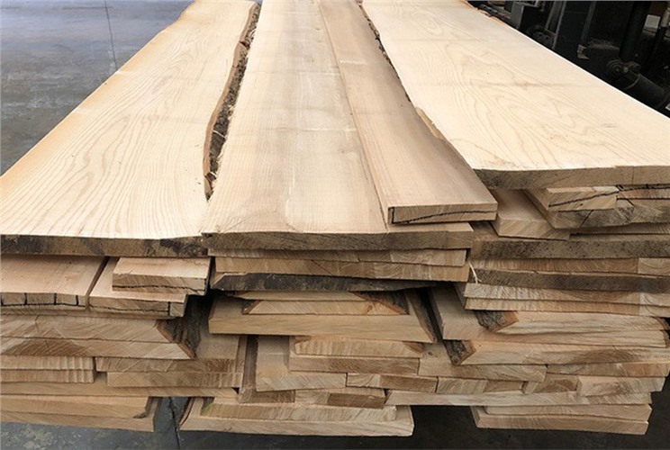 Gỗ tần bì: Đặc điểm nổi bật và ứng dụng trong nội thất Gỗ tần bì: Đặc điểm nổi bật và ứng dụng trong nội thất