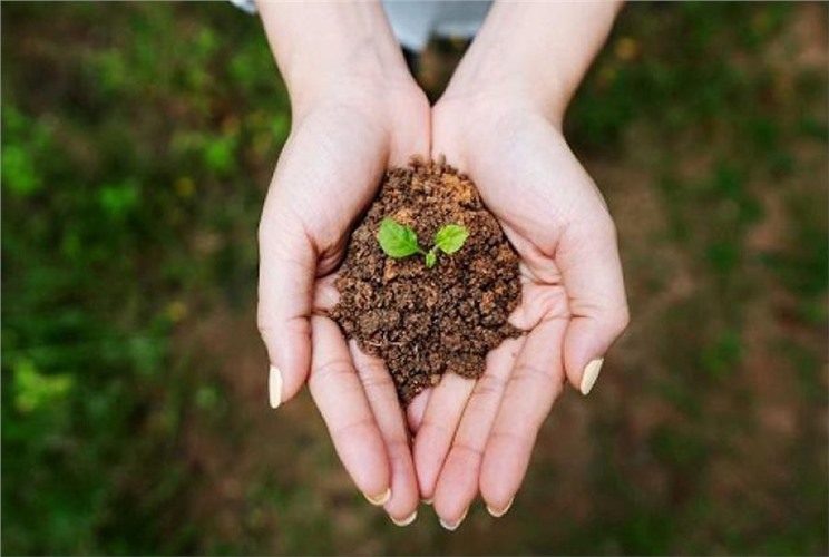 Mệnh Thổ hợp màu gì, mệnh nào? Chọn màu phong thuỷ mệnh Thổ Mệnh Thổ hợp màu gì, mệnh nào? Chọn màu phong thuỷ mệnh Thổ