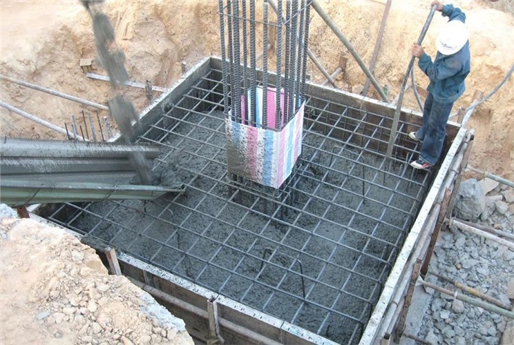 Móng cốc là gì? Đặc điểm, cấu tạo và ứng dụng