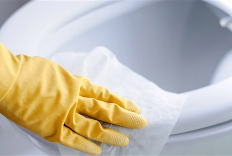 Nắp Nhựa Bồn Cầu Bị Ố Vàng: Nguyên Nhân Và Cách Khắc Phục Nắp Nhựa Bồn Cầu Bị Ố Vàng: Nguyên Nhân Và Cách Khắc Phục