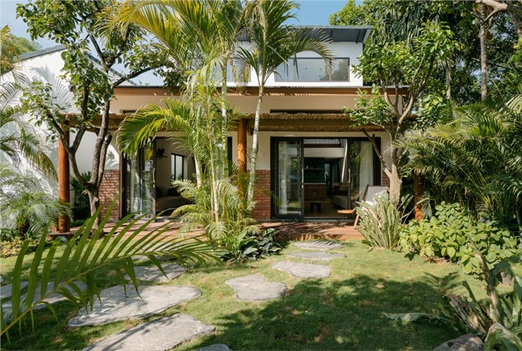 Những cây kiêng kỵ trồng trước nhà để tránh mất tài lộc Những cây kiêng kỵ trồng trước nhà để tránh mất tài lộc