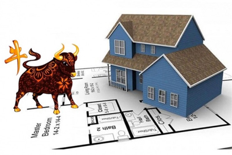 Tuổi Sửu Hợp Hướng Nào? Xem Chọn Hướng Nhà Cho Người Tuổi Sửu Tuổi Sửu Hợp Hướng Nào? Xem Chọn Hướng Nhà Cho Người Tuổi Sửu