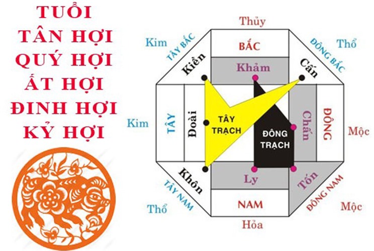 Tuổi Hợi hợp hướng nào? Cách chọn hướng nhà đại cát, đại lợi Tuổi Hợi hợp hướng nào? Cách chọn hướng nhà đại cát, đại lợi